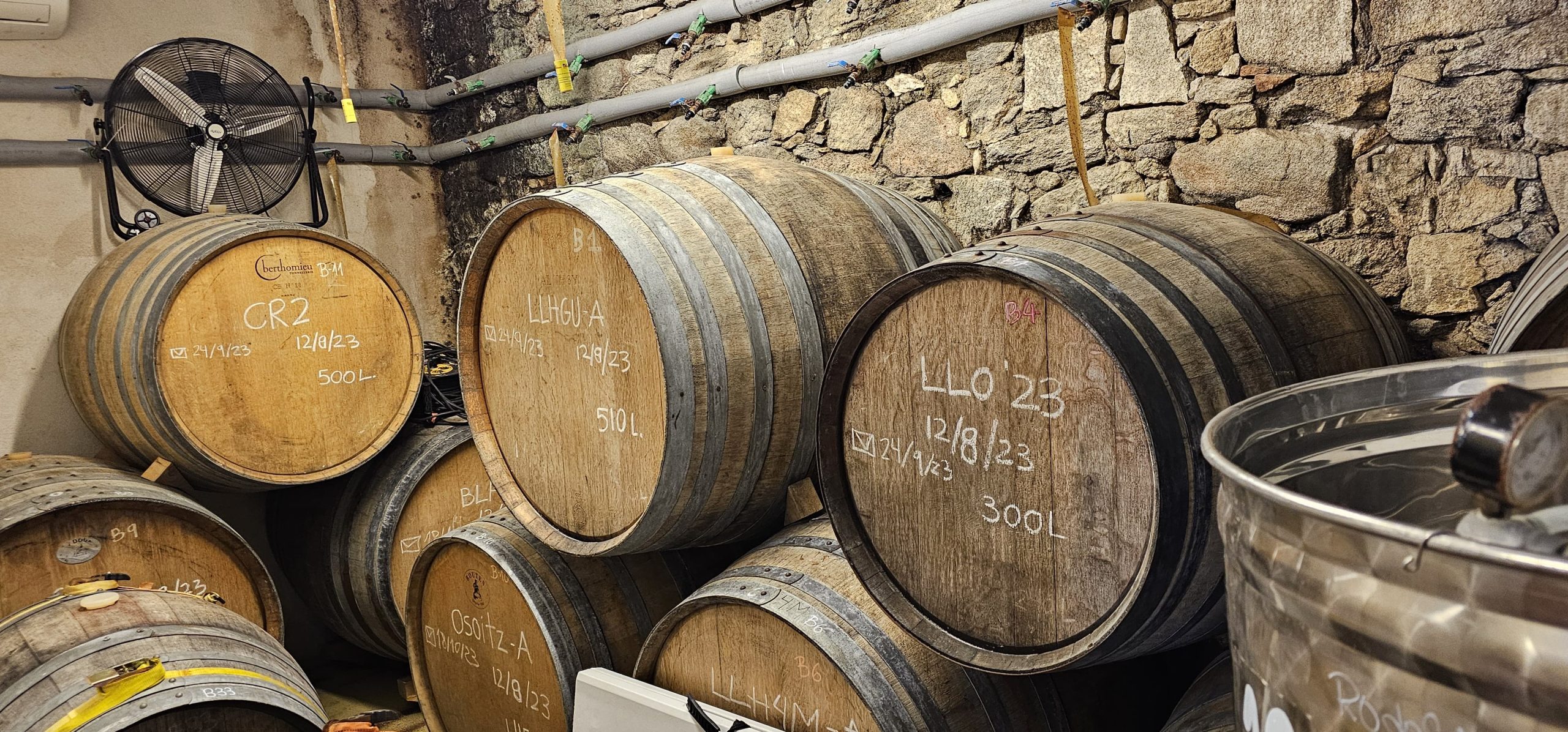 Varios barriles de vino