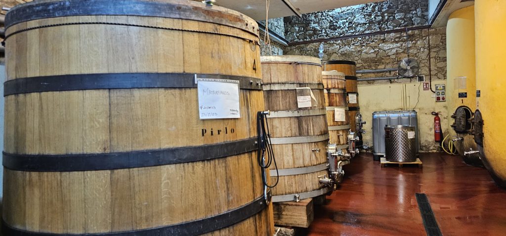 Bodega de vino
